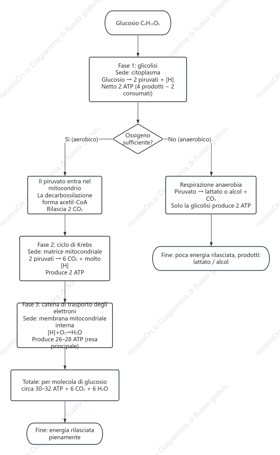 Diagramma di flusso delle tre fasi della respirazione cellulare